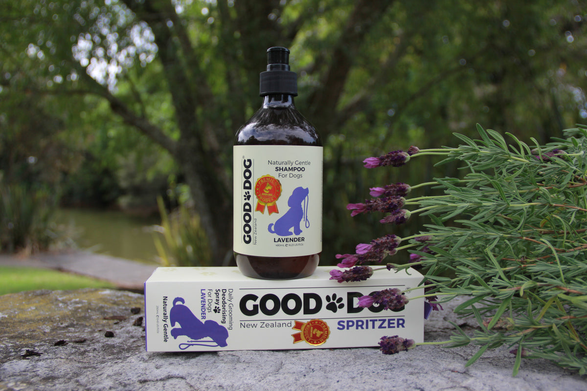 Good Dog lavender shampoo and spritzer box in the garden