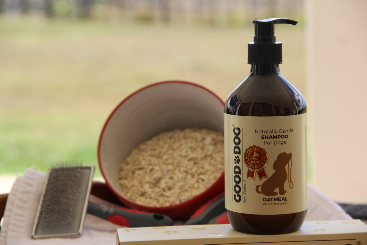 Good Dog oatmeal shampoo beside oats and a grooming brush
